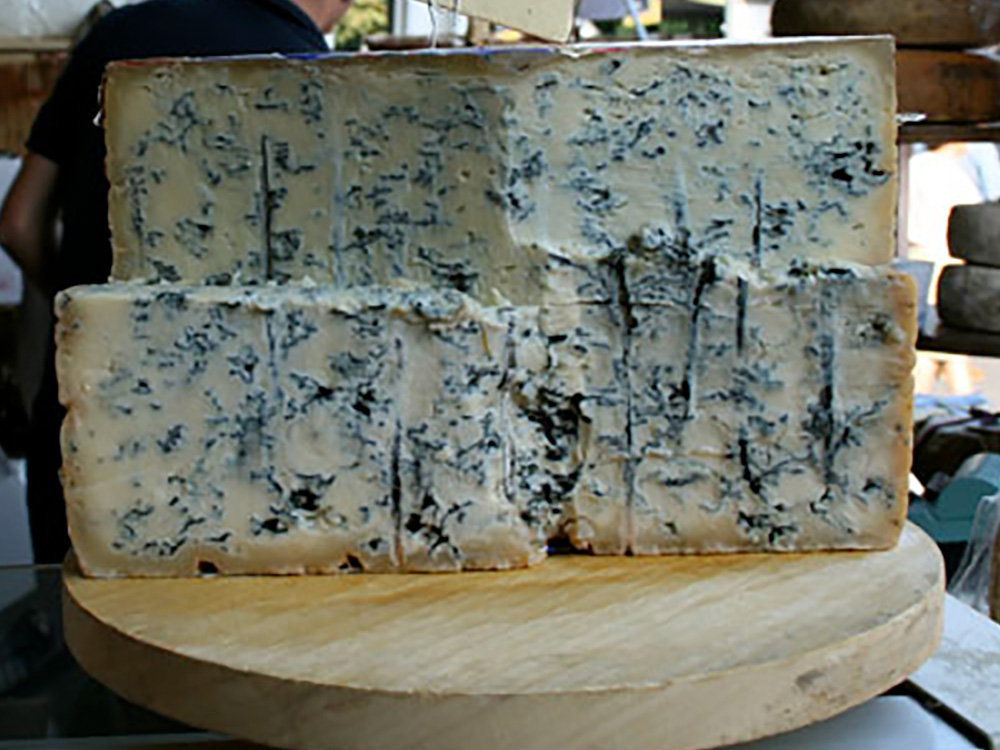 Gorgonzola